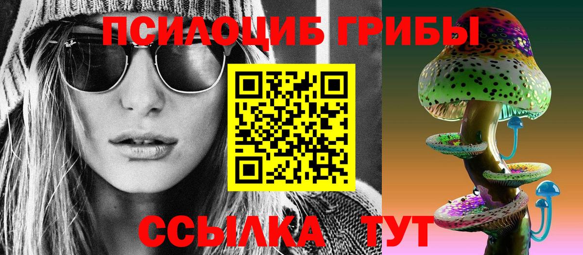 Псилоцибиновые грибы Psilocybe  Вход с VPN  Донской 